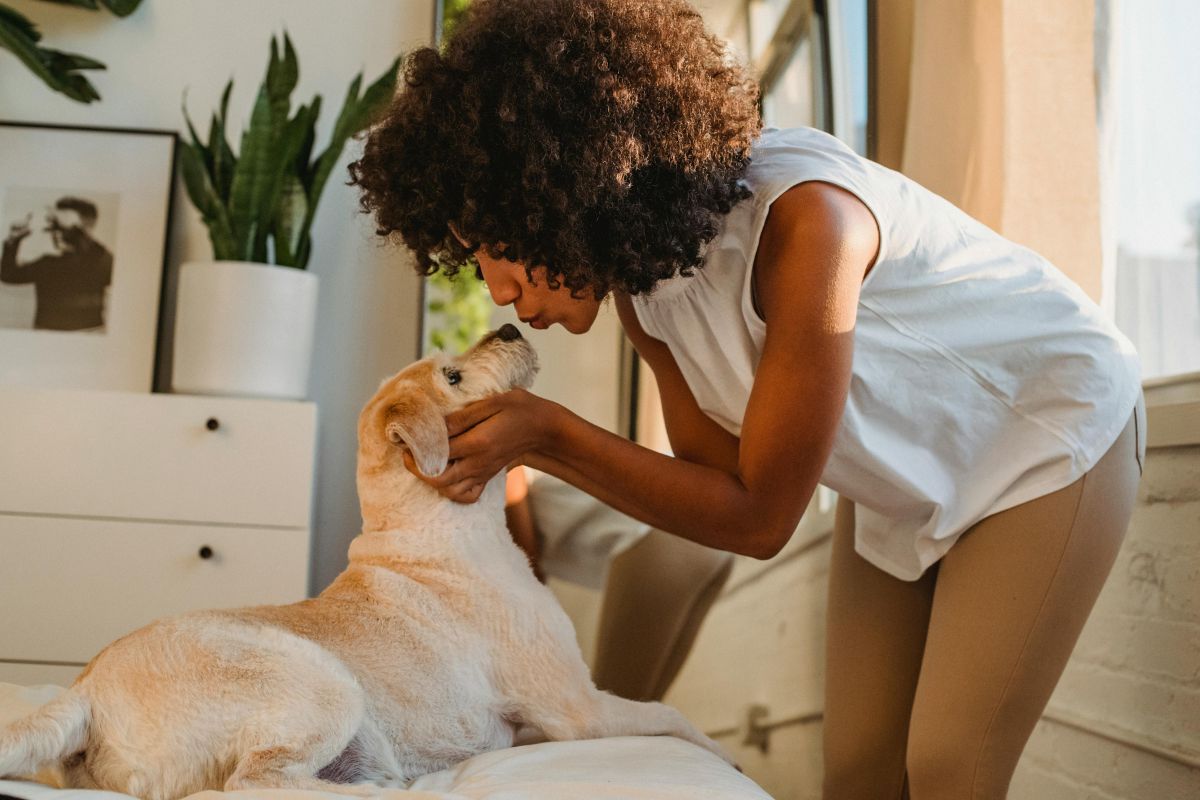 Cama com cantinho pet vira sensação nas redes sociais