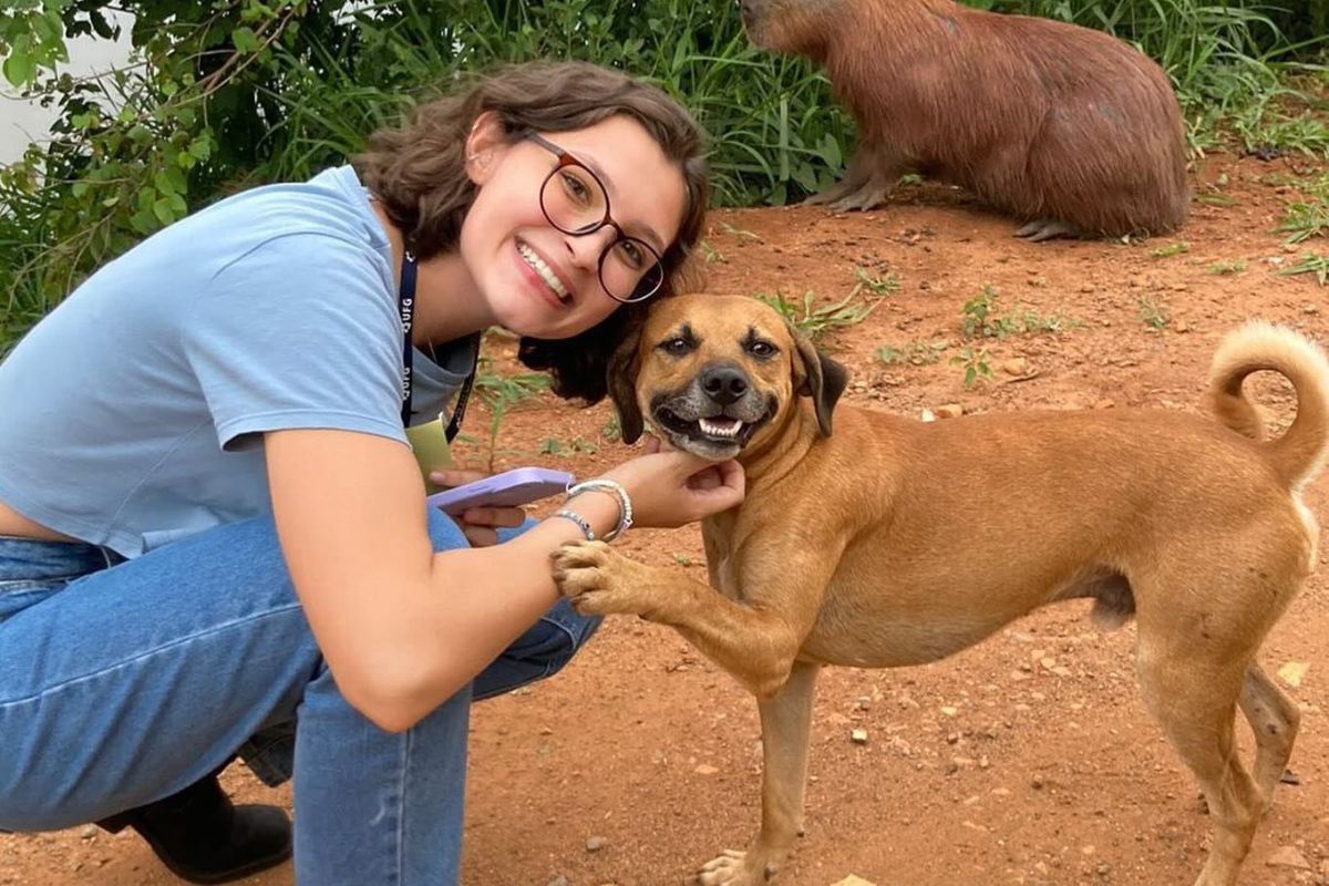 Cachorro caramelo: Como está o vira-lata que viralizou em foto?