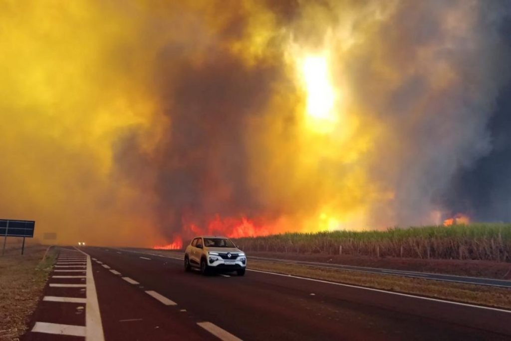 Empresas fazem estimativas do impacto dos incêndios na produção de cana