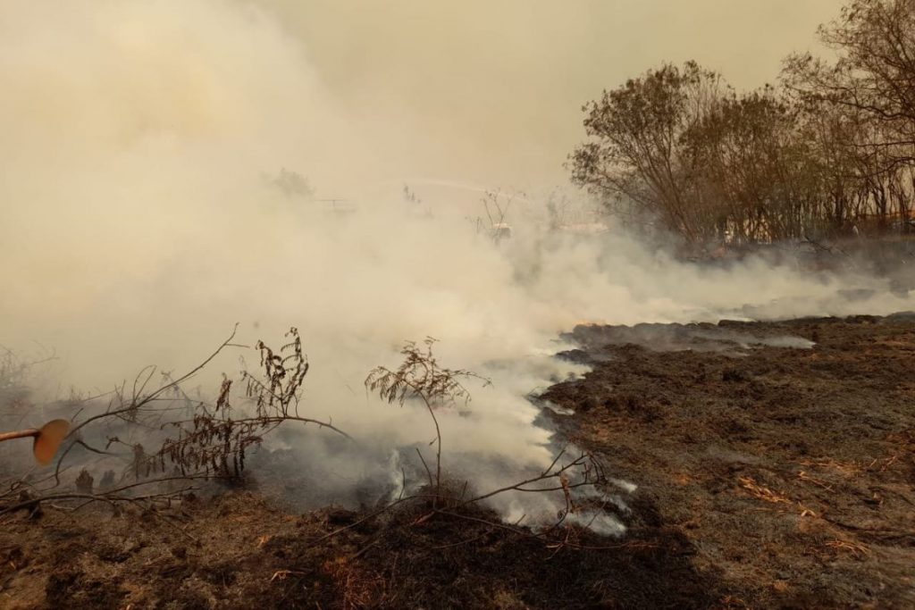 Governo Federal se reunirá com governadores de estados atingidos por incêndios