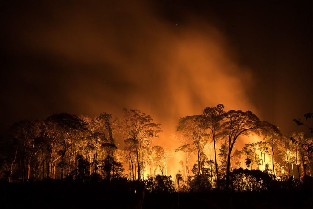 PF lista suspeitos de incendiar Parque Nacional