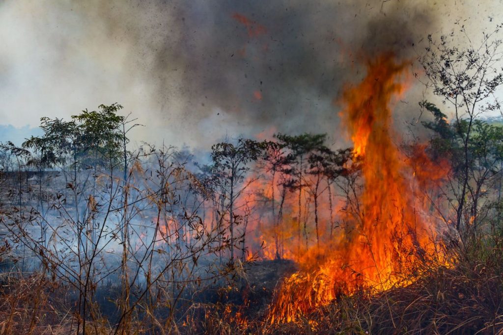 Força Nacional do SUS reforçará atuação em áreas atingidas pelas queimadas