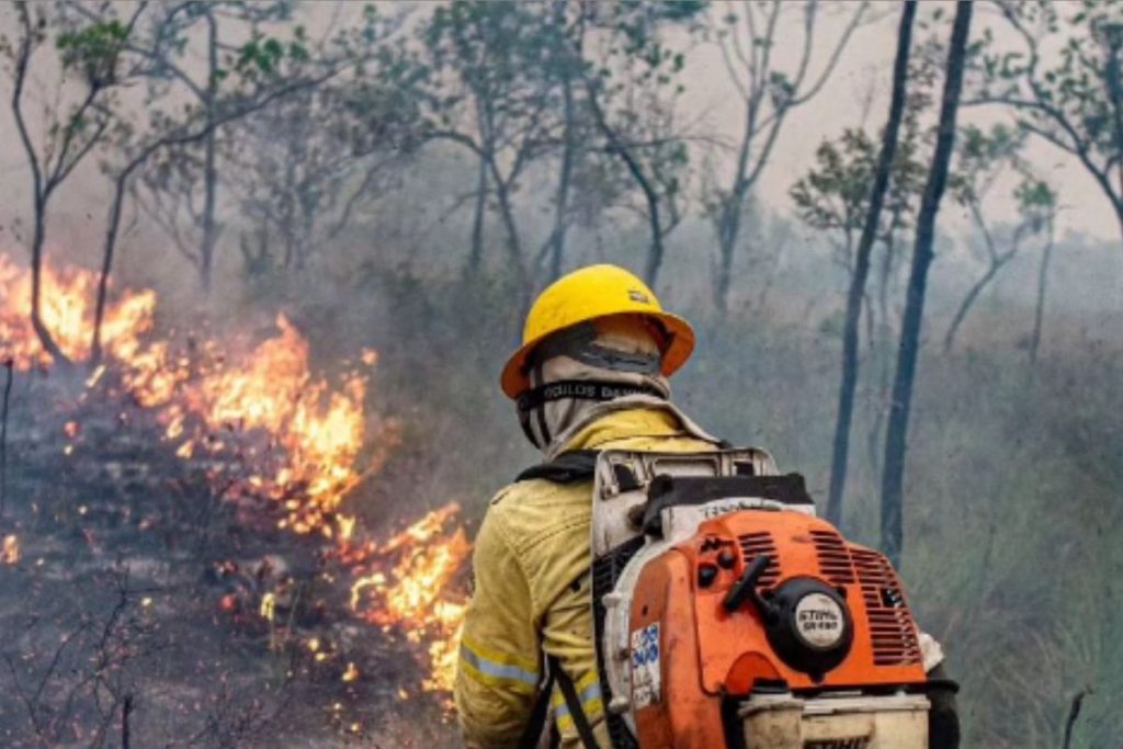 Pará decreta emergência climática após incêndios