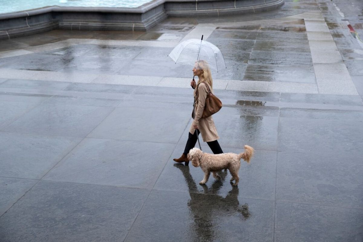 SP terá chuvas e temperaturas amenas nesta semana; saiba mais