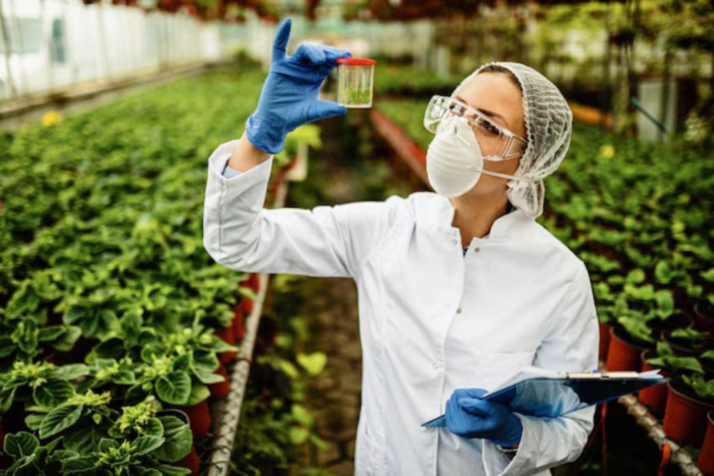 Explosão de casos de contaminação por agrotóxicos no Brasil expõe fronteira agrícola em crise