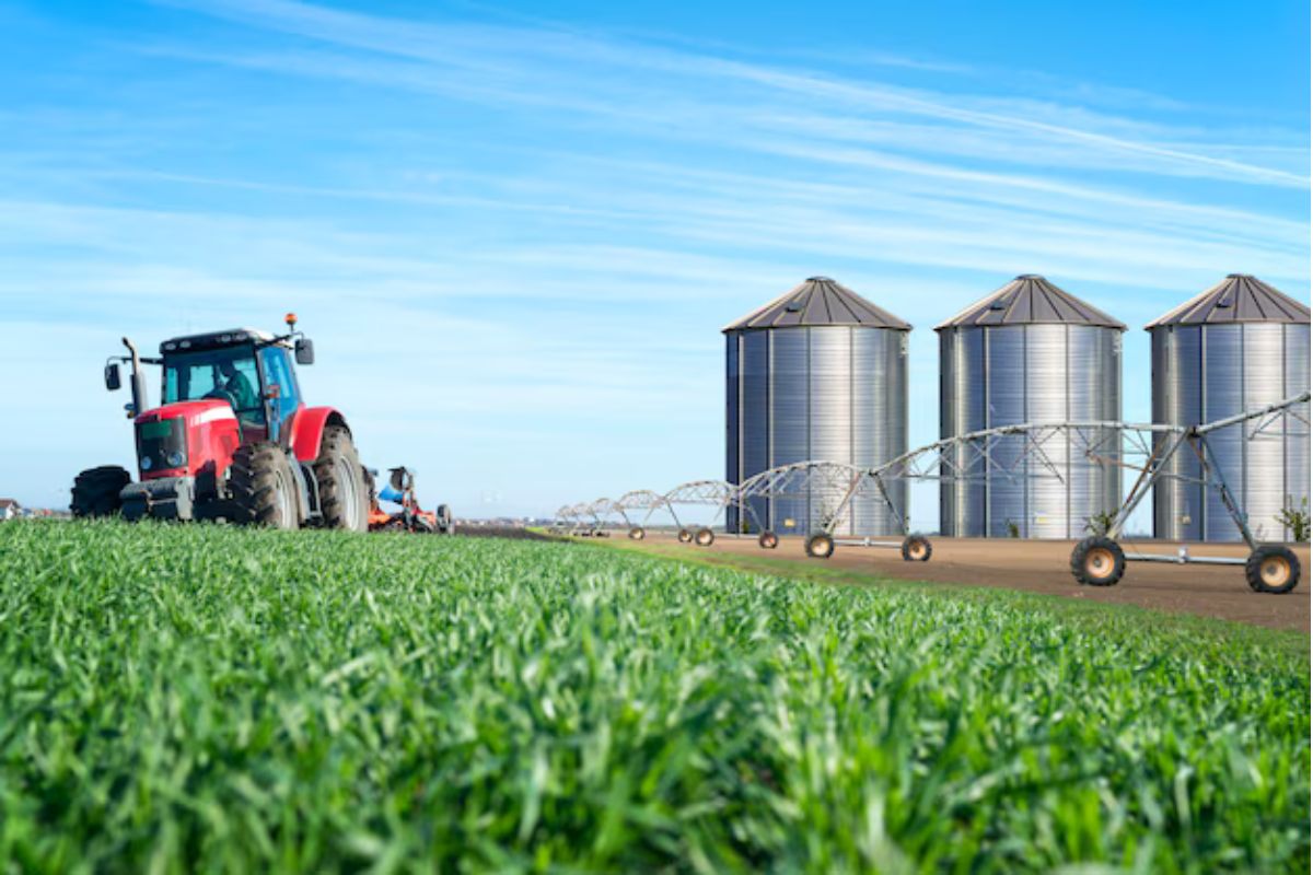 Governo anuncia R$ 546,6 bilhões para transformar cadeias agroindustriais