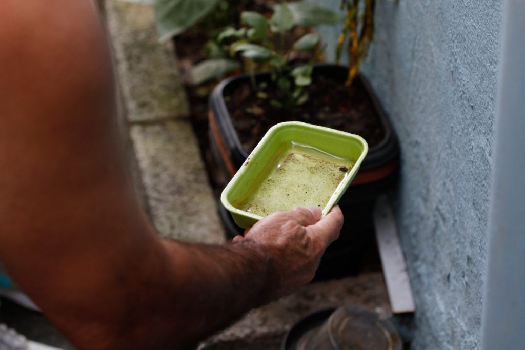 Brasil investe em prevenção contra epidemias de dengue